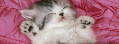 Cuddle Kitten Facebook Covers
